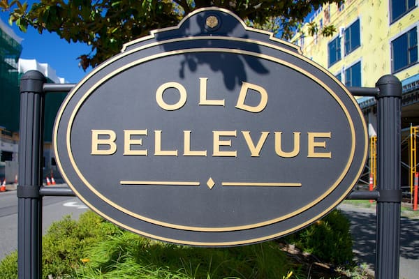 Old Bellevue featuring signage