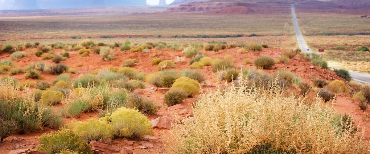 Monument Valley featuring tranquil scenes, landscape views and a gorge or canyon