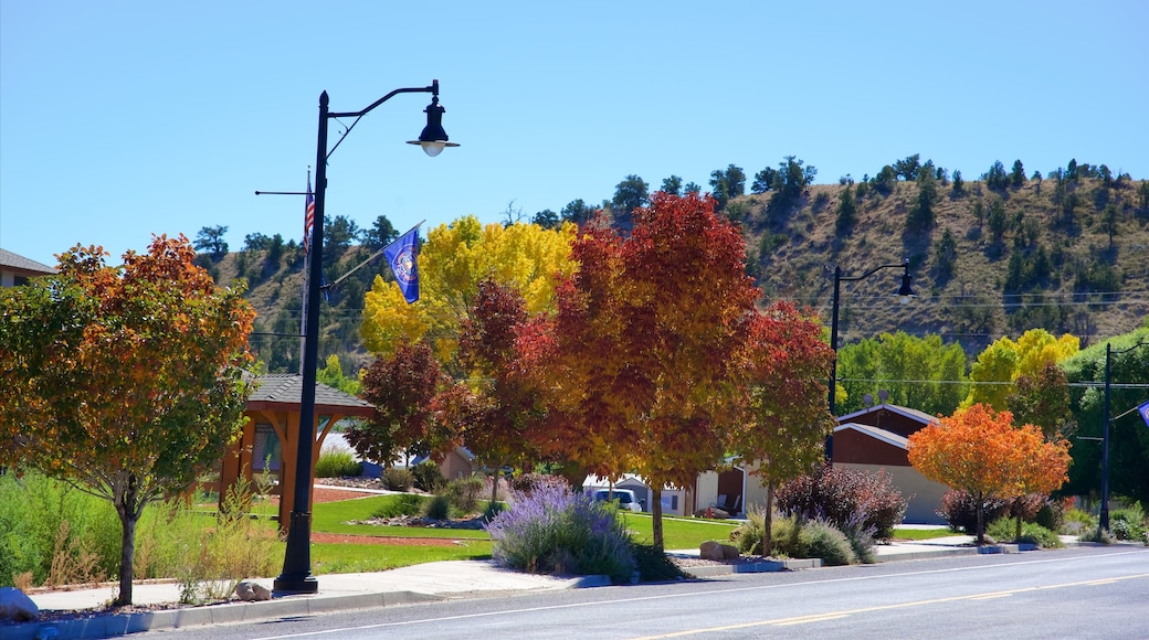 Tropic showing autumn leaves, tranquil scenes and street scenes