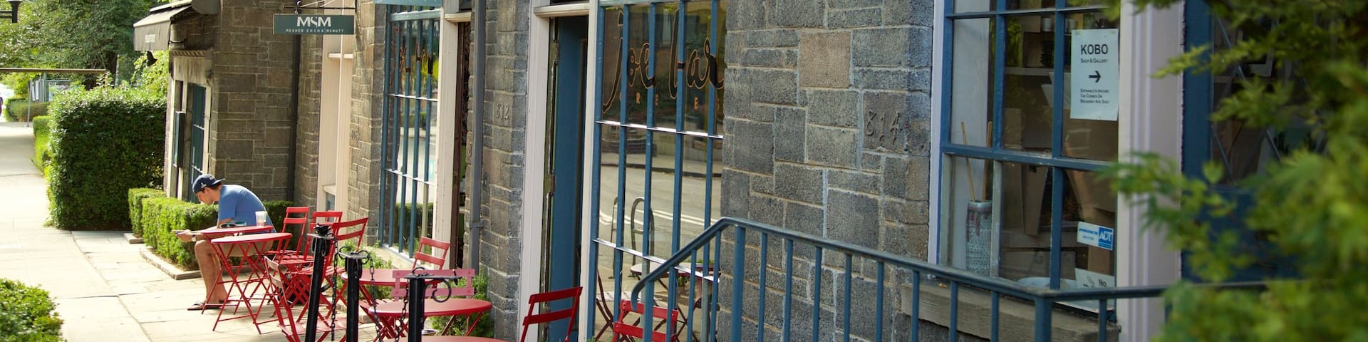 Capitol Hill que incluye patrimonio de arquitectura y también un hombre