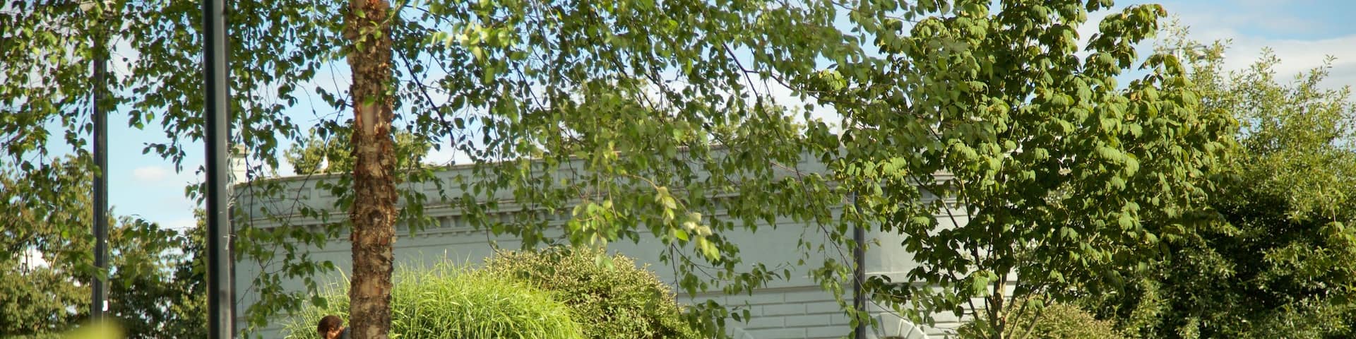 Capitol Hill which includes a park