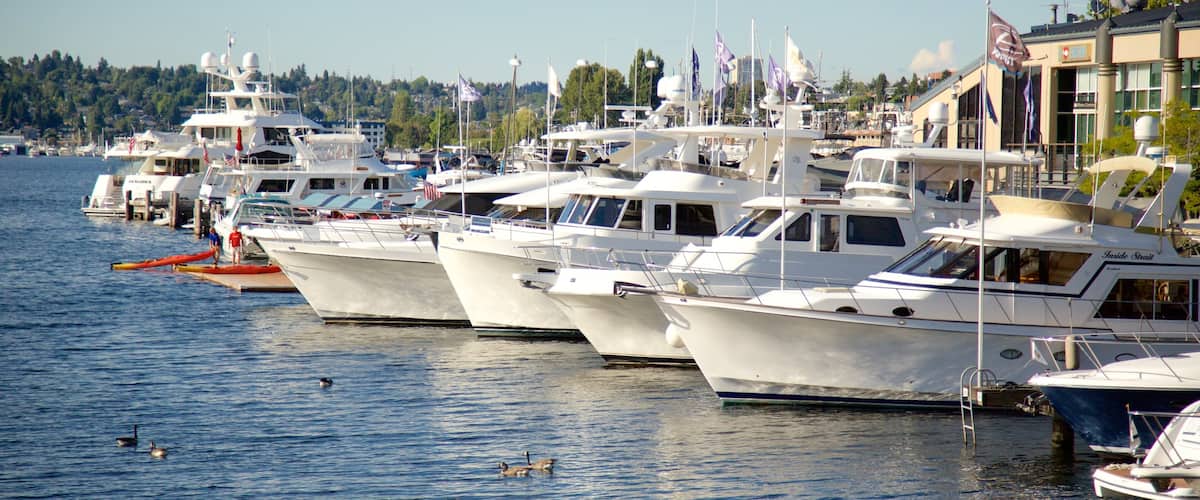 South Lake Union showing a marina and a lake or waterhole