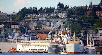 South Lake Union which includes a bay or harbor, a coastal town and boating