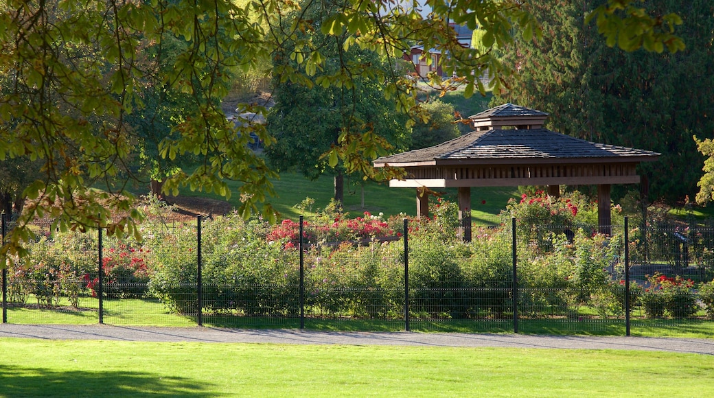 Point Defiance 公園 设有 花園