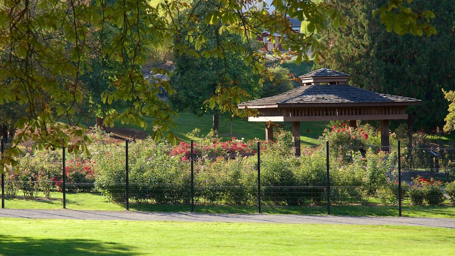 Point Defiance Park som visar en park