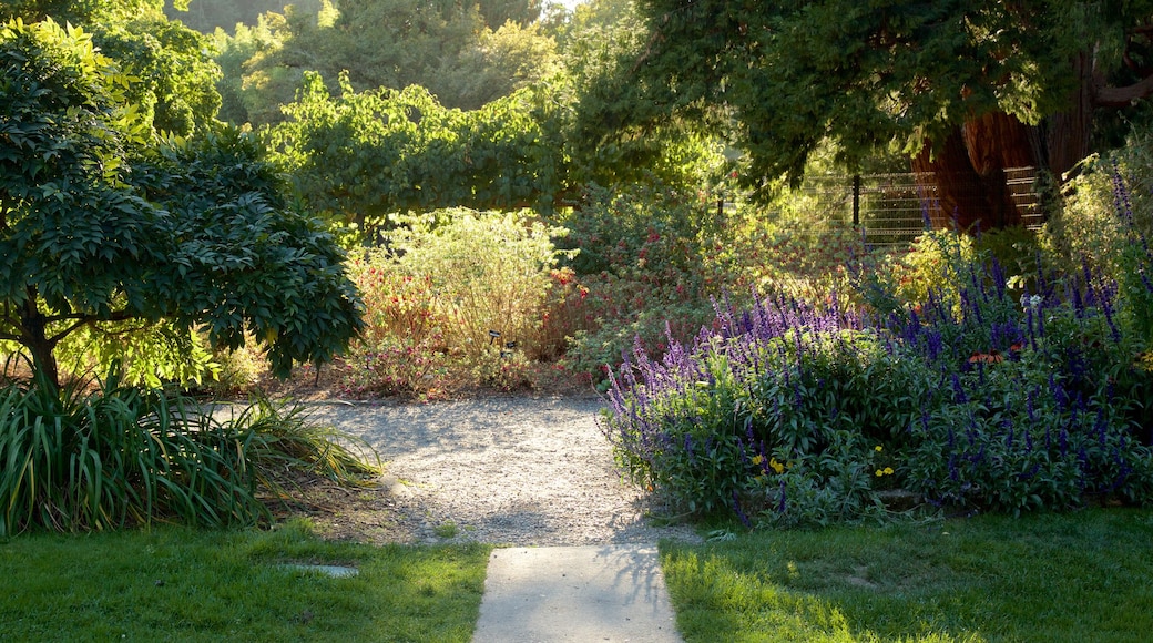 Point Defiance Park showing a park