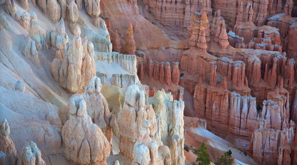 Inspiration Point featuring tranquil scenes, a gorge or canyon and desert views