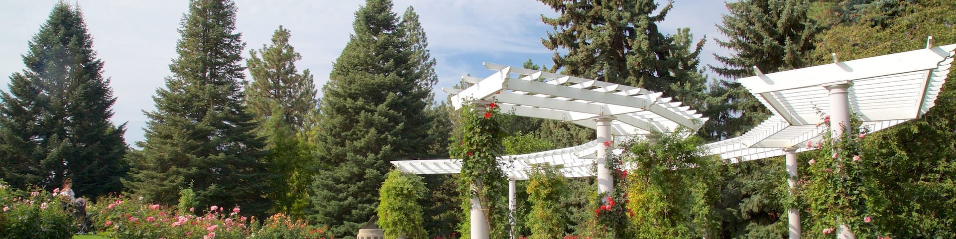 Manito Park showing a garden