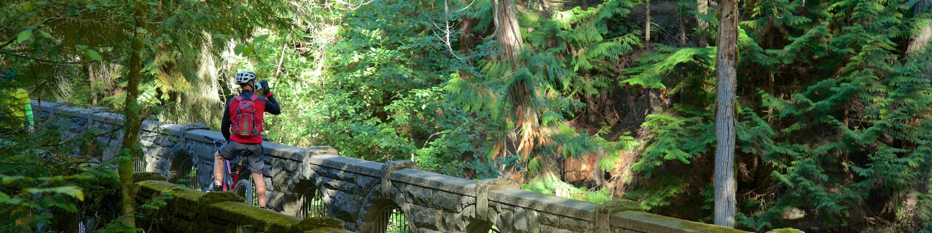 Whatcom Falls Park showing a bridge, mountain biking and forest scenes