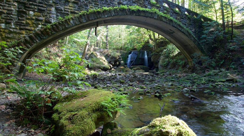 Whatcom Falls Park featuring a river or creek, a bridge and a cascade