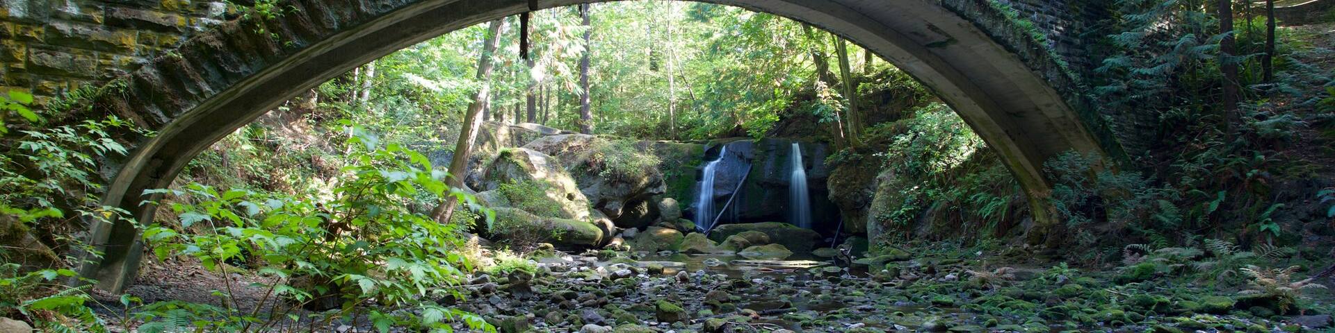 Whatcom Falls Park featuring a river or creek, a bridge and a cascade