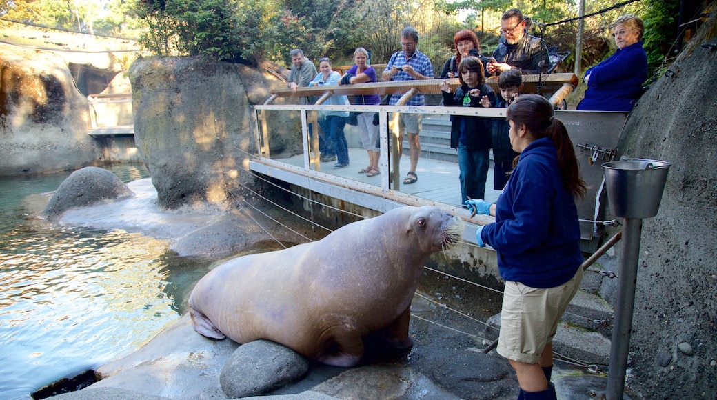 Point Defiance Zoo and Aquarium featuring zoo animals and marine life as well as a small group of people