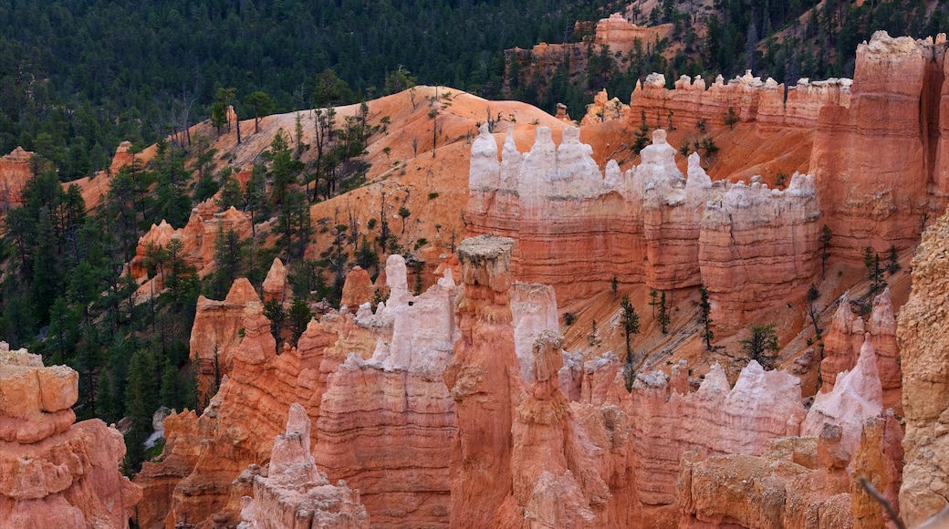 Sunset Point which includes a gorge or canyon, desert views and tranquil scenes