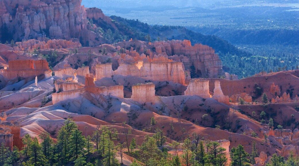 Sunrise Point featuring tranquil scenes, desert views and a gorge or canyon