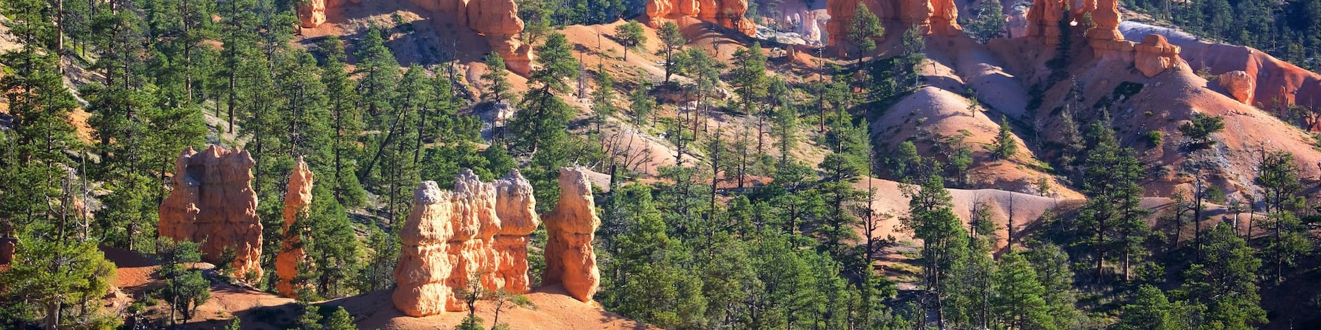 Sunrise Point featuring a gorge or canyon, desert views and tranquil scenes