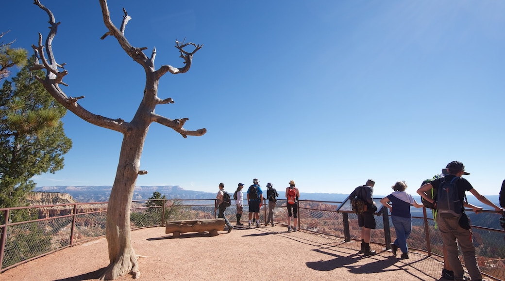 Sunrise Point featuring views, a gorge or canyon and desert views