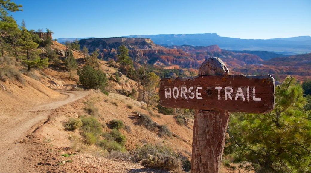 Sunrise Point featuring signage, a gorge or canyon and tranquil scenes