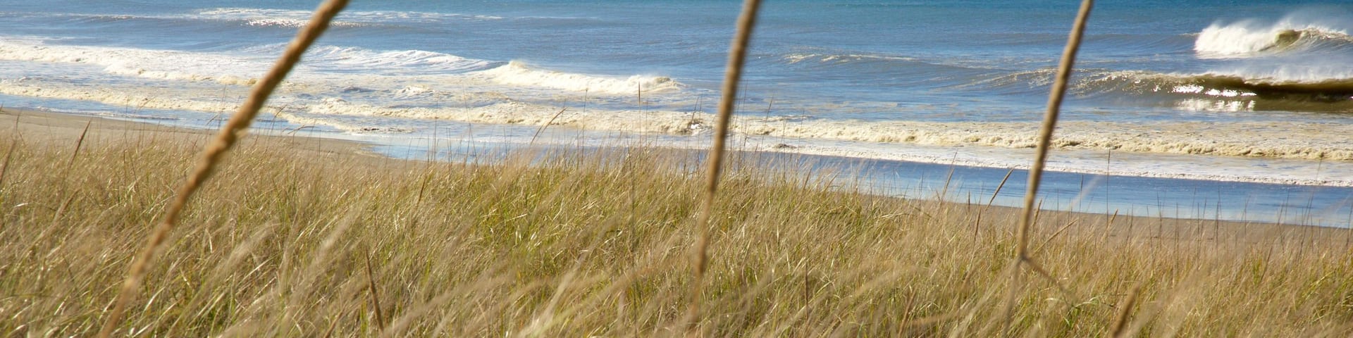 Ocean Shores Beach showing general coastal views