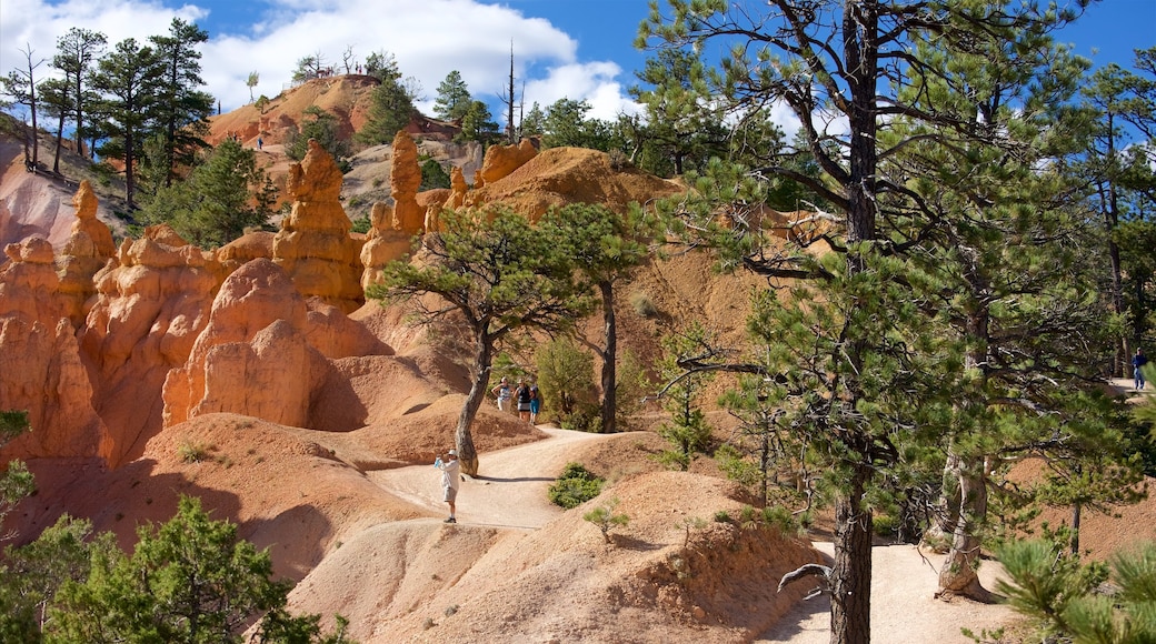 Queens Garden Trailhead featuring landscape views, hiking or walking and tranquil scenes