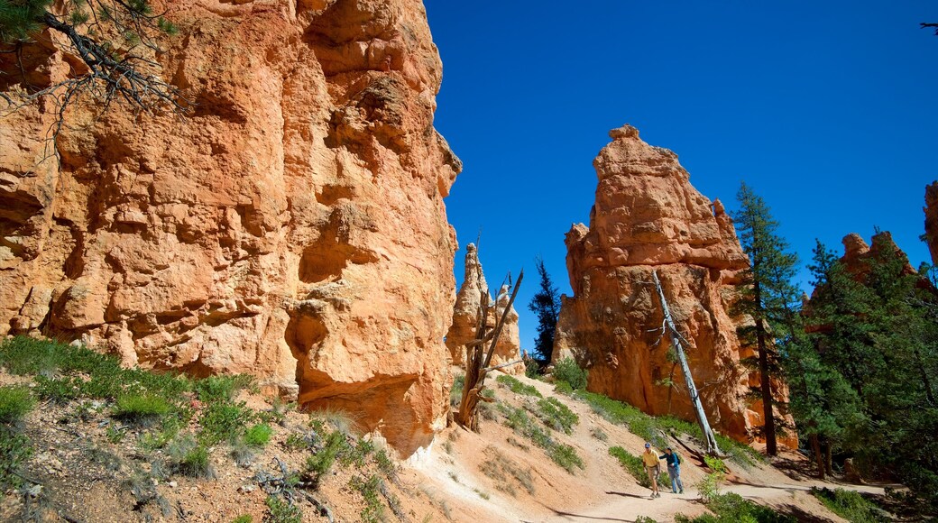 Queens Garden Trailhead which includes tranquil scenes and hiking or walking as well as a couple