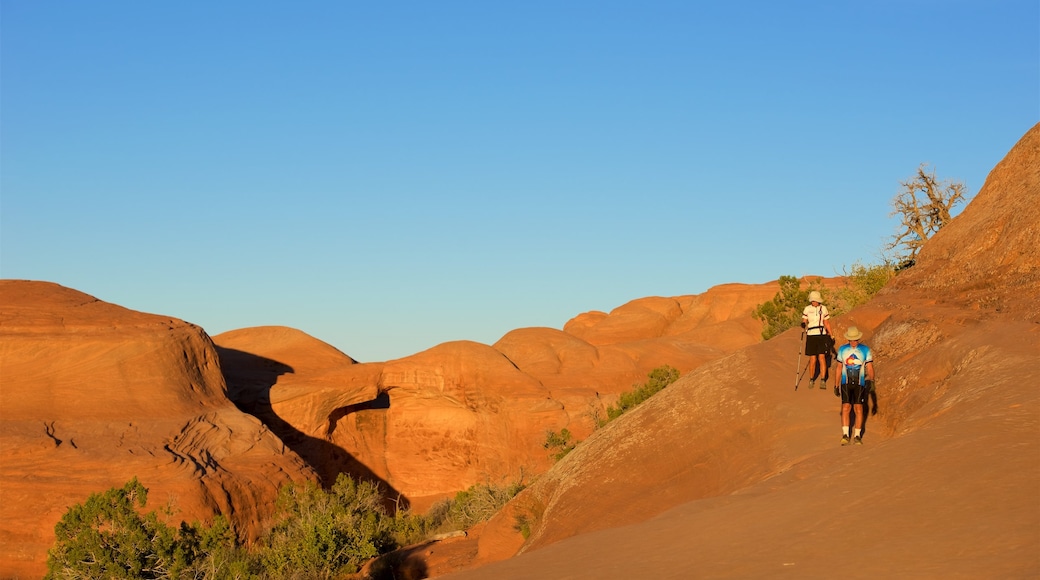 Delicate Arch featuring landscape views, hiking or walking and tranquil scenes