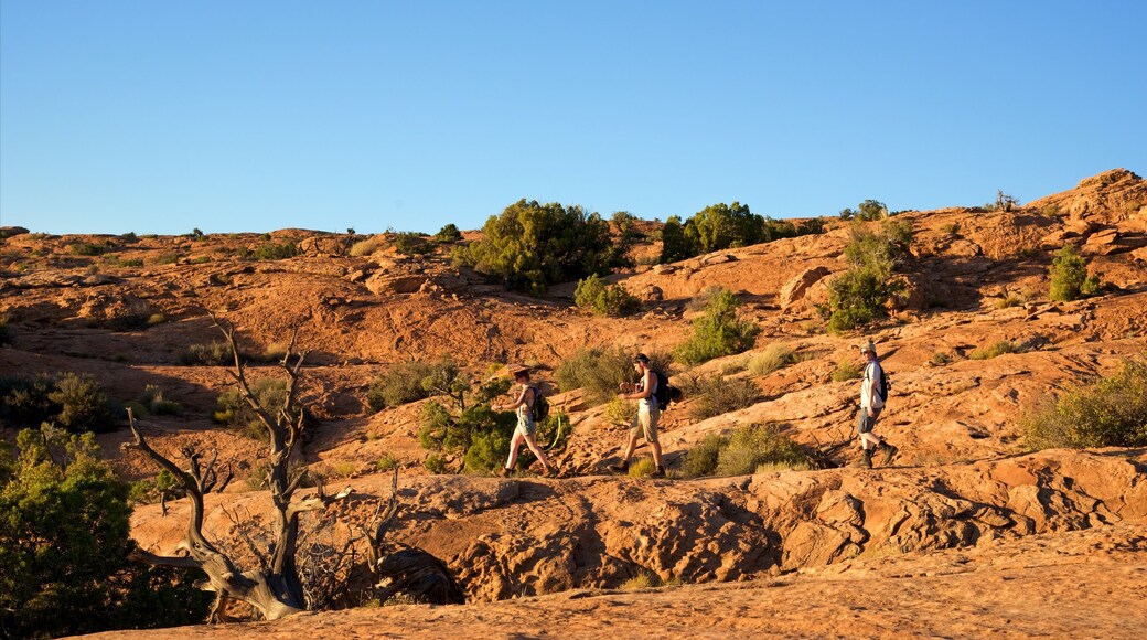 Delicate Arch which includes landscape views, hiking or walking and tranquil scenes