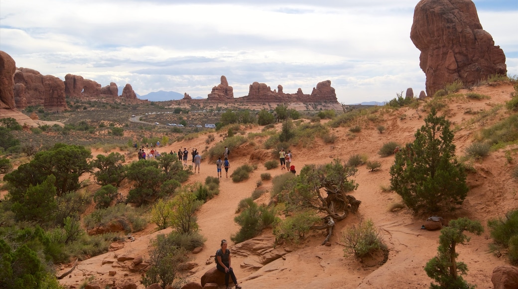 Double Arch showing tranquil scenes, landscape views and hiking or walking