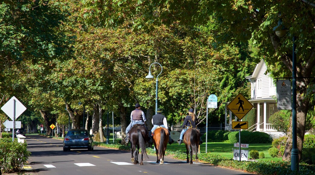 Officers Row showing street scenes, a small town or village and a garden