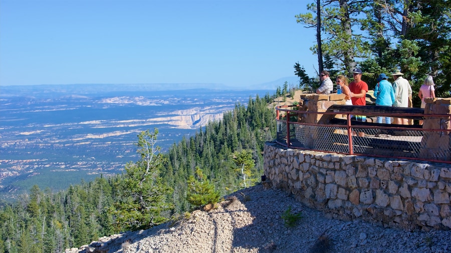 Rainbow Point featuring landscape views, views and tranquil scenes