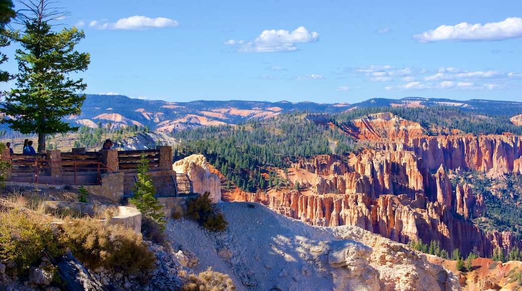 Rainbow Point welches beinhaltet ruhige Szenerie, Schlucht oder Canyon und Ansichten