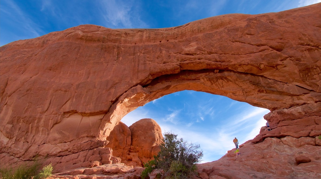 The Windows showing hiking or walking and tranquil scenes