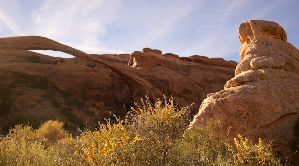 Landscape Arch which includes tranquil scenes