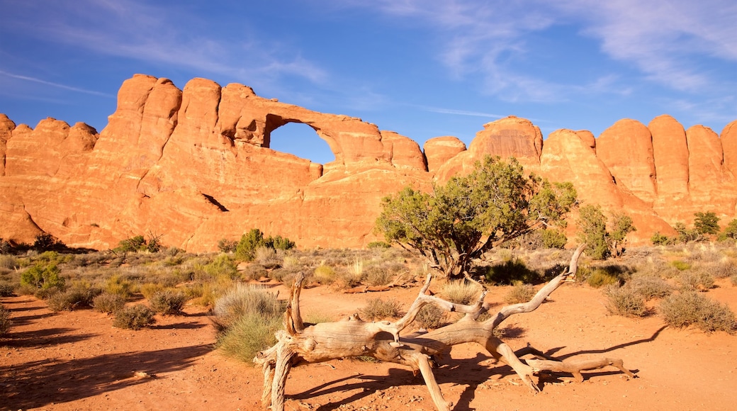 Skyline Arch showing landscape views and tranquil scenes