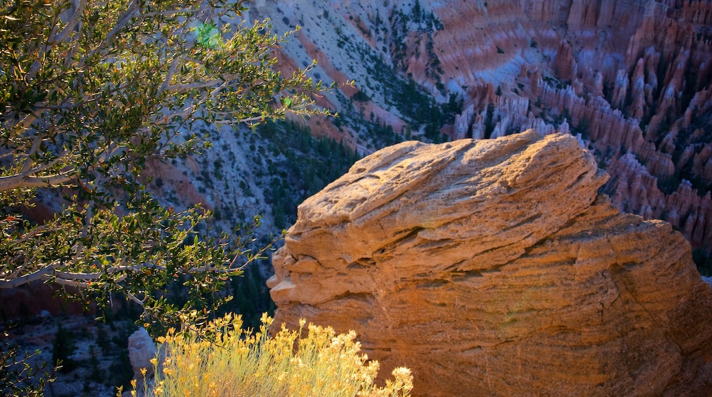 Bryce Point showing tranquil scenes and a gorge or canyon