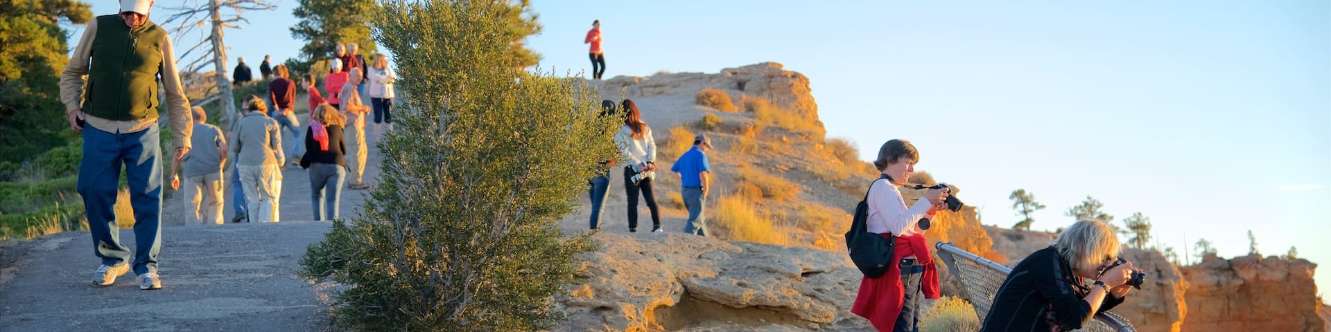Bryce Point featuring tranquil scenes, views and hiking or walking