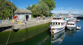 Hiram M. Chittenden Locks welches beinhaltet Fluss oder Bach und Bootfahren sowie kleine Menschengruppe