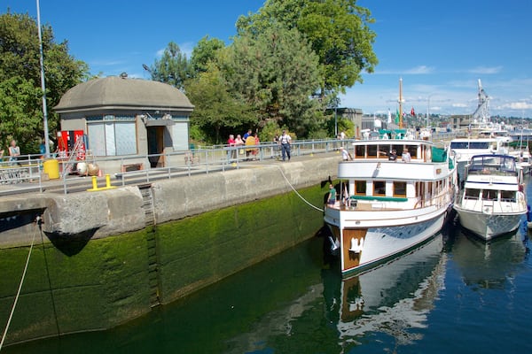 Hiram M. Chittenden Locks welches beinhaltet Fluss oder Bach und Bootfahren sowie kleine Menschengruppe