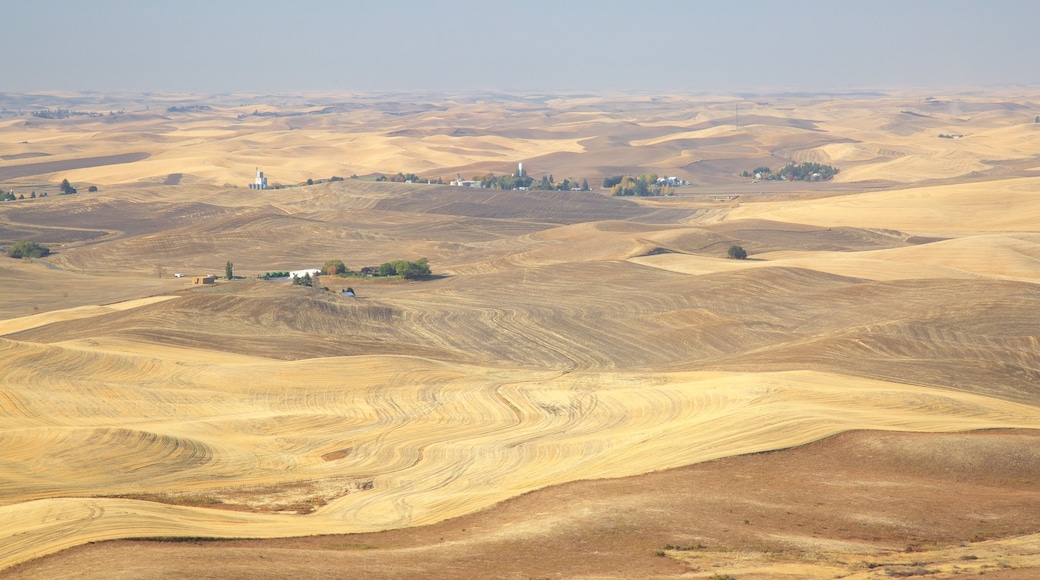 Steptoe Butte State Park which includes landscape views and desert views