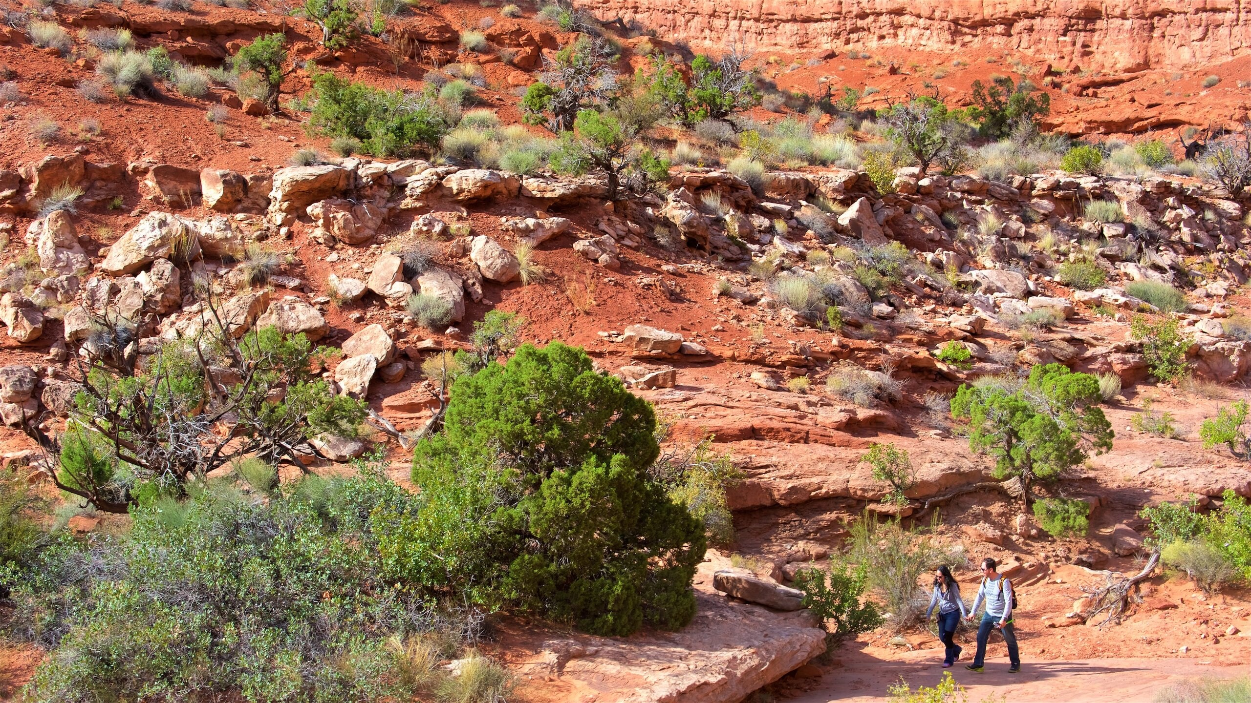 Moab que incluye escenas tranquilas y senderismo o caminata y también una pareja