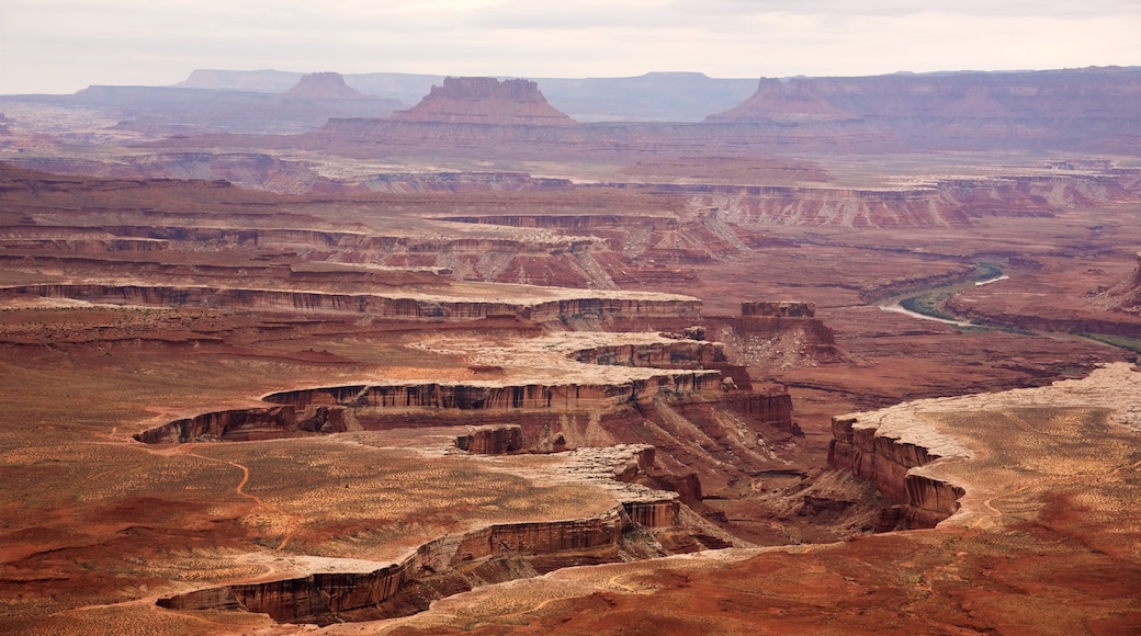 Moab que incluye un cañón o garganta, vistas panorámicas y situaciones tranquilas