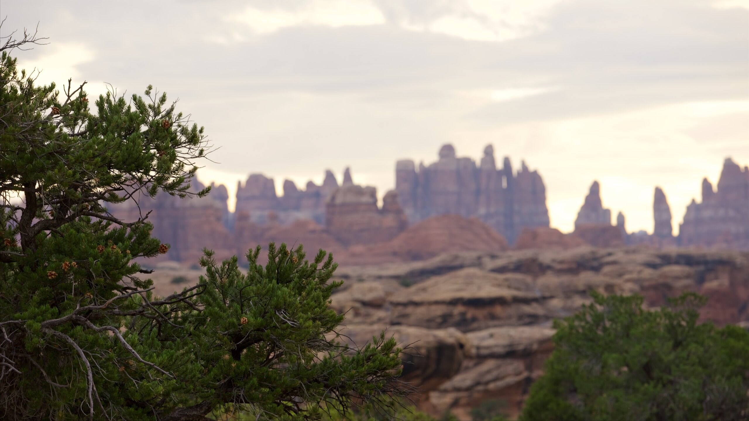 Where to Stay in Monticello Best neighborhoods Expedia