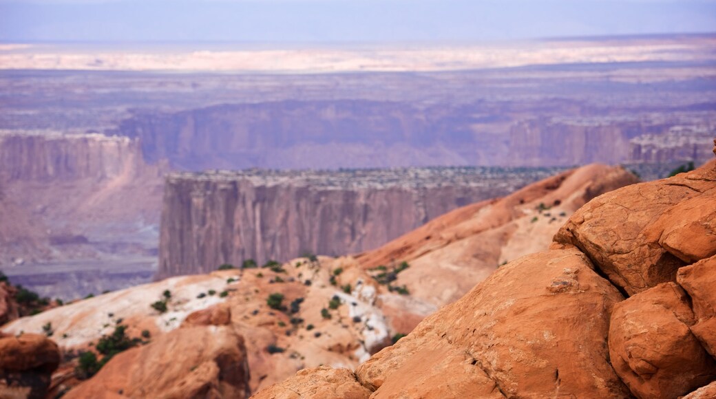 Upheaval Dome which includes a gorge or canyon, tranquil scenes and landscape views