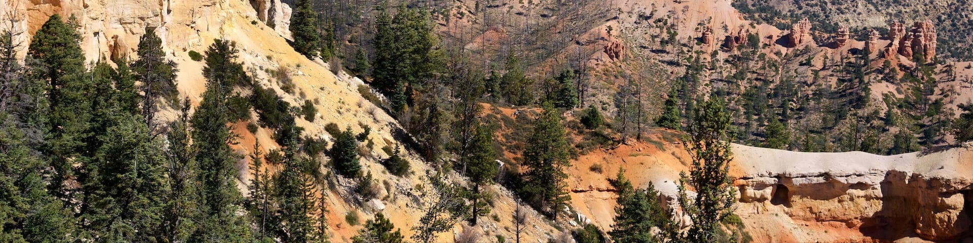 Tropic montrant panoramas, gorge ou canyon et scènes tranquilles