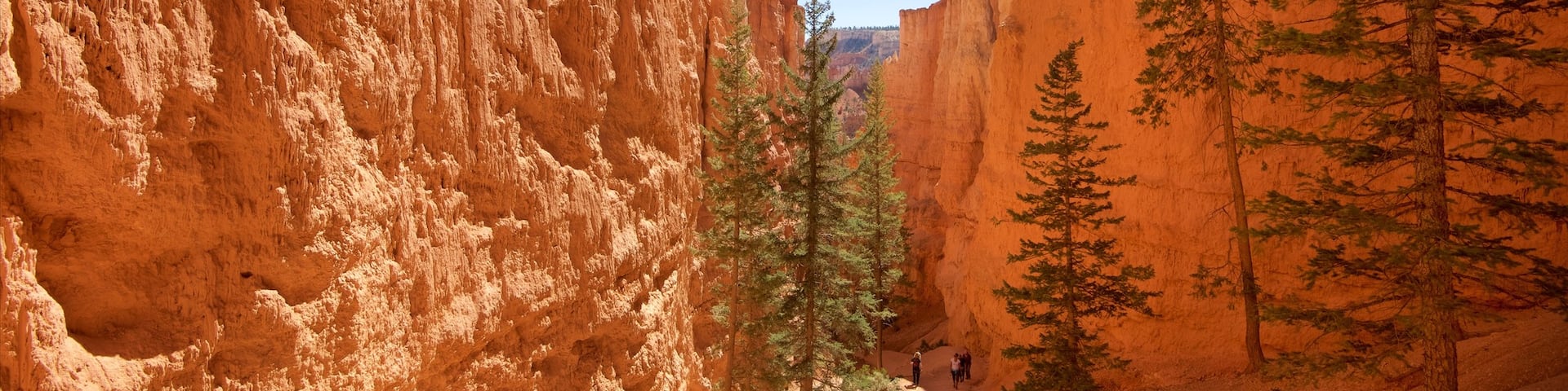 Tropic featuring hiking or walking, a gorge or canyon and mountains