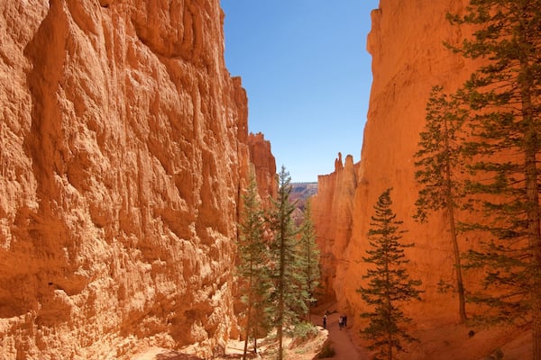 Tropic showing a gorge or canyon, tranquil scenes and hiking or walking