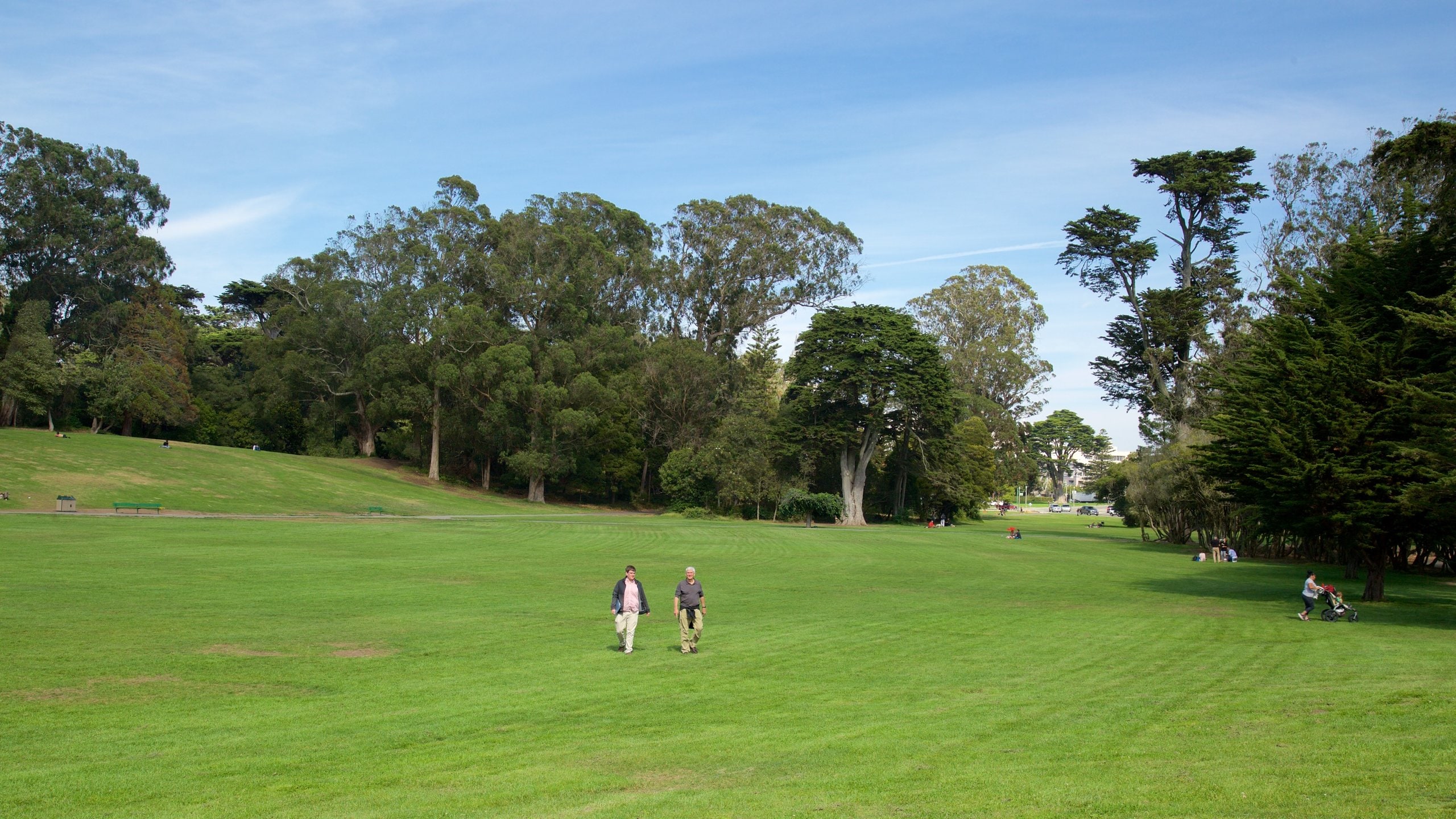 Haight-Ashbury featuring a garden as well as a couple