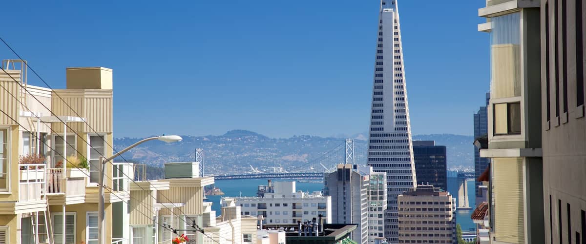 Nob Hill showing street scenes and a city