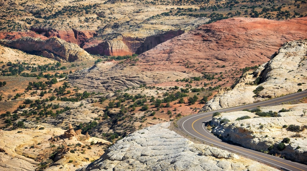 Utah que incluye situaciones tranquilas y vistas panorámicas