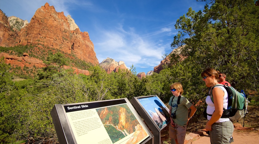 Court of the Patriarchs Viewpoint featuring hiking or walking, tranquil scenes and mountains