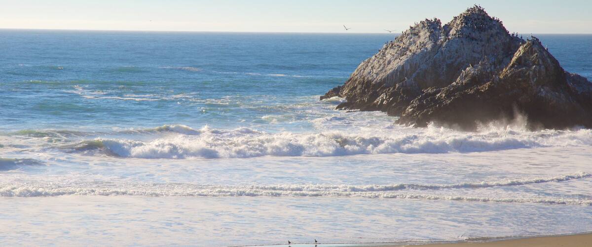 Ocean Beach which includes a sandy beach, landscape views and general coastal views